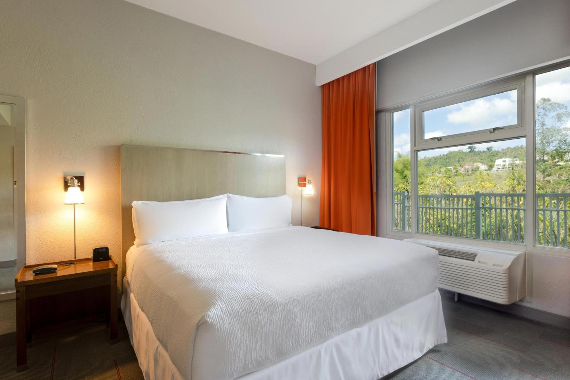 Four Points By Sheraton Caguas Real Екстер'єр фото
